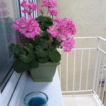 Zenit Apartman Mako Exterior photo